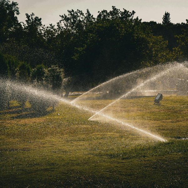 pexels-yarensphotoworks-30564467